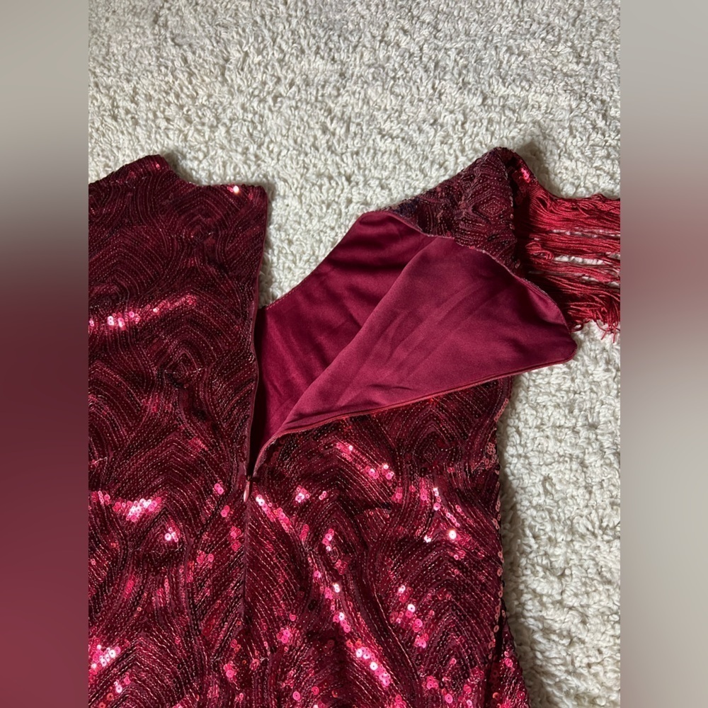 Women’s Large Red Sequin Fringe 1920s Dress NWT - Picture 7 of 8
